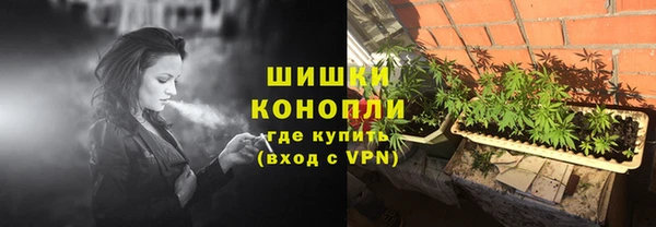 твердый Аркадак