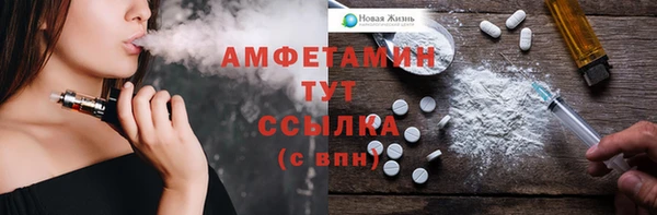 твердый Аркадак