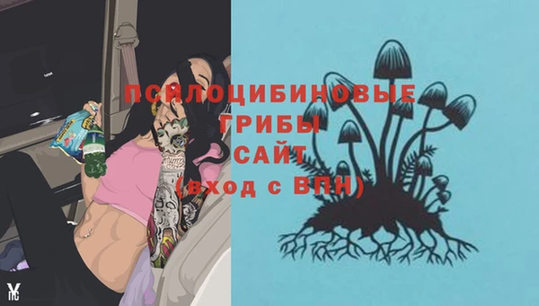 твердый Аркадак