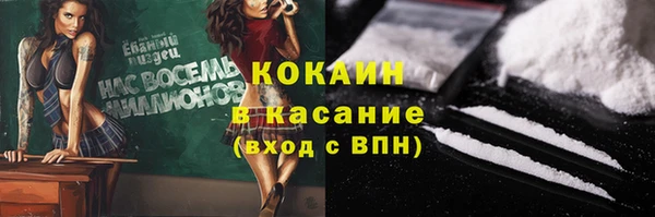 стафф Арсеньев