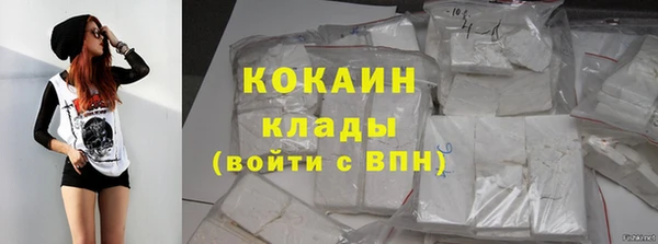 стафф Арсеньев