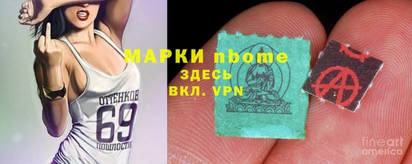 стафф Арсеньев