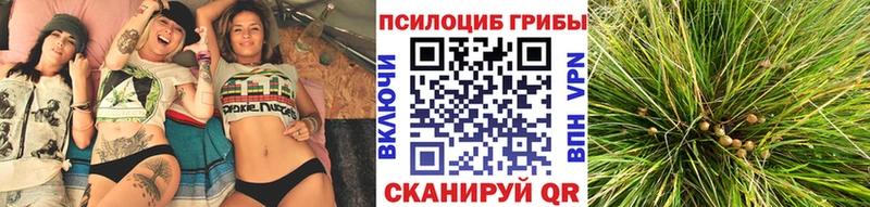 Псилоцибиновые грибы GOLDEN TEACHER  купить закладку  Спас-Деменск 